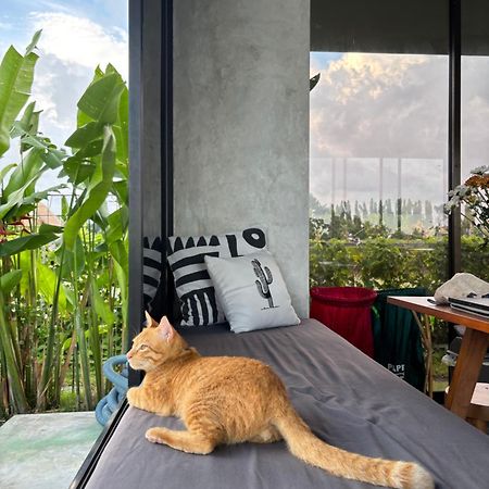 Casa Avana Ubud Zewnętrze zdjęcie