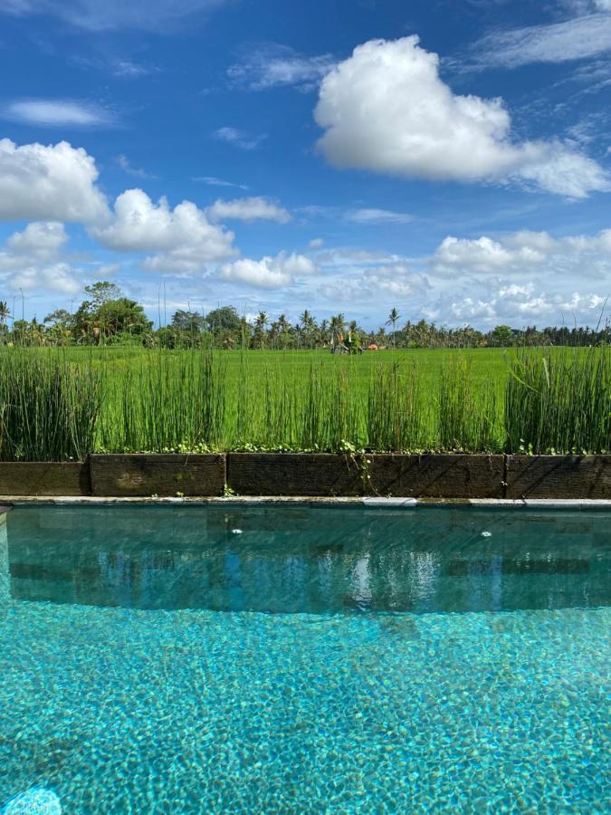 Casa Avana Ubud Zewnętrze zdjęcie