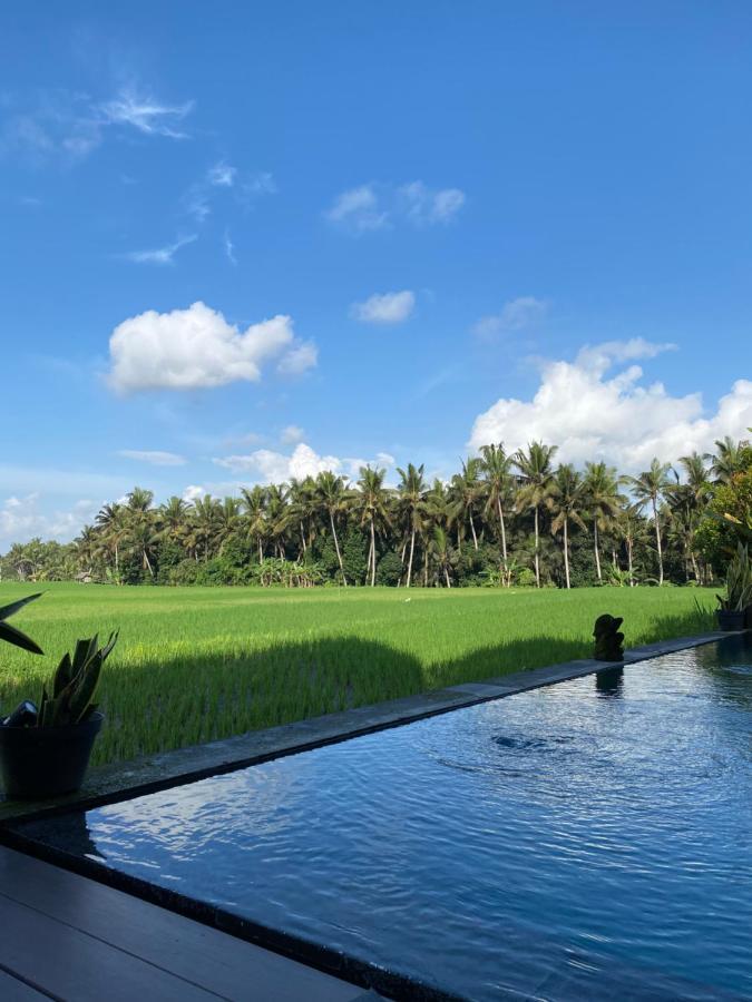Casa Avana Ubud Zewnętrze zdjęcie