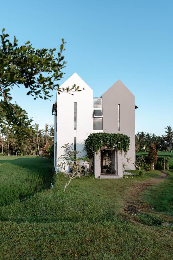 Casa Avana Ubud Zewnętrze zdjęcie