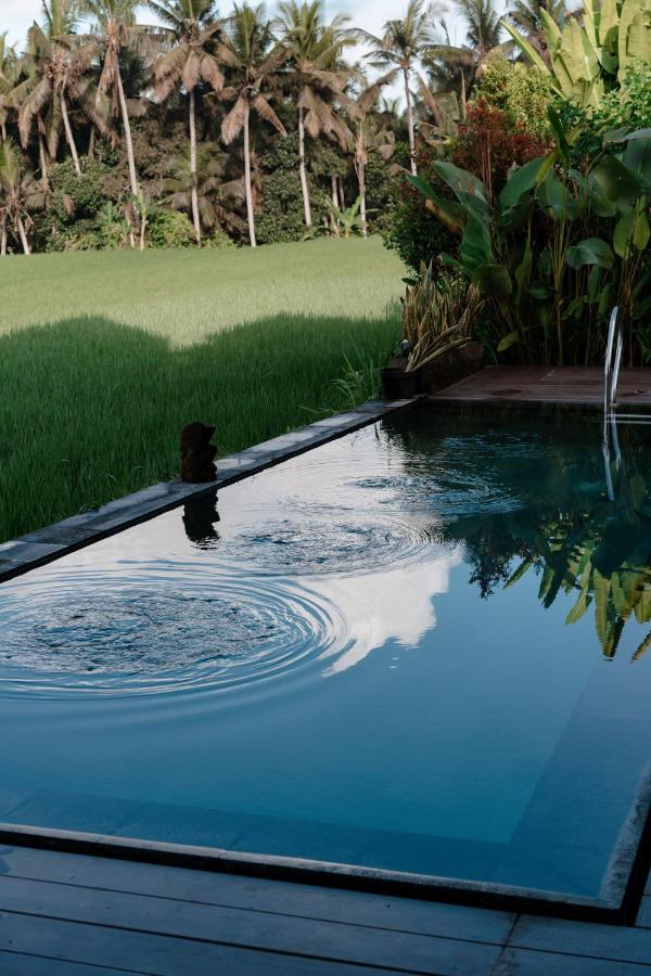 Casa Avana Ubud Zewnętrze zdjęcie